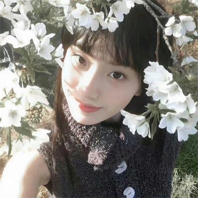 流麻沟十五号